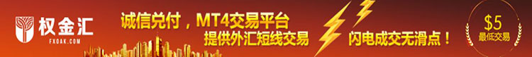 权金汇